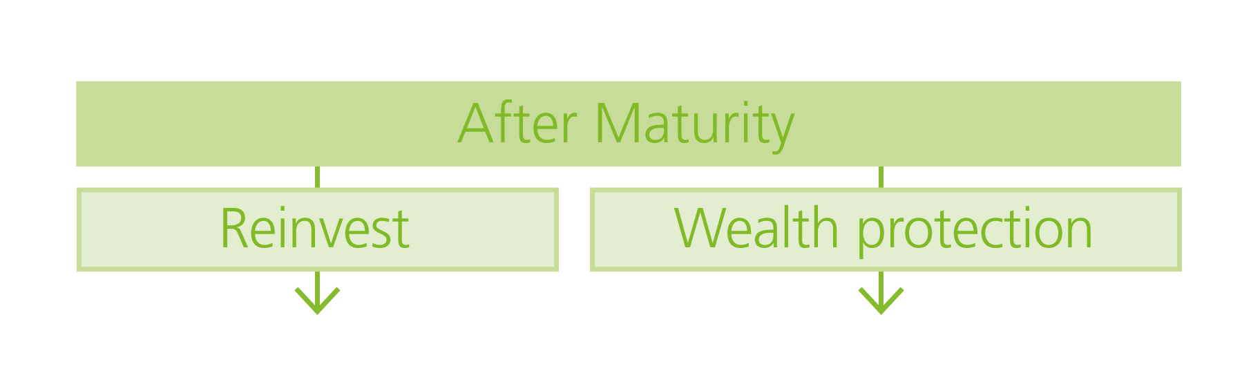 After-Maturity-graphic_White-background-(2).png